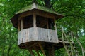 Tree house in forest Royalty Free Stock Photo