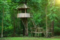 Tree house in deep forest Royalty Free Stock Photo