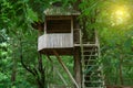Tree house in deep forest Royalty Free Stock Photo