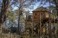 Tree house in a forrest Royalty Free Stock Photo