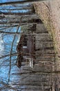 A tree house deep in the woods with a blue sky in the background Royalty Free Stock Photo