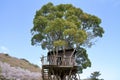 Tree house in Higashi izu