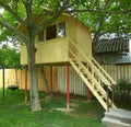 Tree house for kids