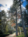 Tree house on Parque Termal de Pedras Salgadas Royalty Free Stock Photo