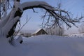 Tree and house in snow in countryside