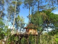 A tree house surrounding by pine trees with fresh air to take a deep breath