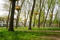 Tree Houses in the Beguinage (Begijnhof) in Bruges Royalty Free Stock Photo