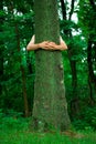 Tree hugger environmentalist