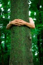 Tree hugger environmentalist