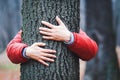 Tree hugger, hands embracing old tree trunk in fall, woman meditating in autumn park