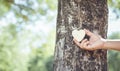 Asian man giving a hug on big teak tree hug. Love tree and nature or environment concept