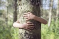 Tree hugging, little boy giving a tree a big hug