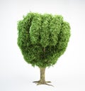 Tree human fist Royalty Free Stock Photo