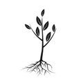 Tree icon black with roots and leaves Royalty Free Stock Photo