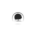 Tree icon concept of a stylized tree with leaves isolated on white background Royalty Free Stock Photo