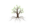 Tree icon concept of a stylized vector illustration Royalty Free Stock Photo