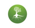 Tree icon concept of a stylized vector illustration Royalty Free Stock Photo