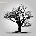 Tree icon. Forest symbol. Flat web sign. Tree Silhouette Isolated on White Backgorund. Decorative tree icon. Vecrtor Illustration