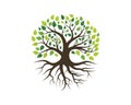 Tree icon logo template vector