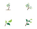 Tree icon logo vector concept of a stylized