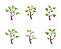 Tree Icon set