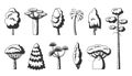 Tree icon set black forest eco plant side view