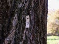 tree identification tag Royalty Free Stock Photo