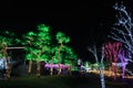 Tree at Illumia Light Illumination festival Korea Night Royalty Free Stock Photo