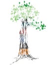 Tree Illustration Royalty Free Stock Photo