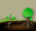 Tree illustration with green leaves and roots