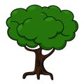 Single green tree with roots illustration