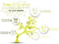 Tree infographic modern for web and other