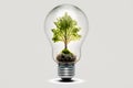 Tree inside lightbulb, green energy concept, white background