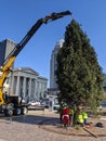 Tree installation in downtown Louisville for Christmas