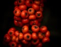 Tree With Intense Red Fruits, Beautiful Cluster Of Grateus Royalty Free Stock Photo