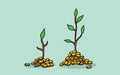 Tree invest investment with gold coin money and growing growth illustration with green leaf