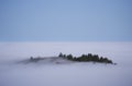 Tree island in the fog