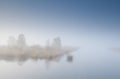 Tree island on lake in dense fog Royalty Free Stock Photo