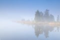 Tree island on lake in fog Royalty Free Stock Photo