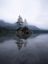 Tree island reflection in alpine mountain lake Hintersee cloudy mood Ramsau Berchtesgadener Land Bavaria Germany