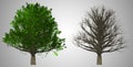 Tree isolated on abstract background, 3D Illustration Royalty Free Stock Photo