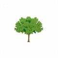 Tree illustration on white background