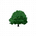 tree illustration on white background