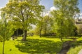 A tree and its shadow, Stirling Castle, Scotland Royalty Free Stock Photo