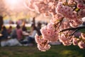 Tree with Japanese pink cherry flower blossom with blurry people celebrating Hanami festival in background Royalty Free Stock Photo