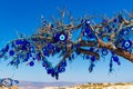 Evil eye talismans tree Cappadocia Turkey