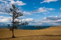 A tree at Lake Baikal on the steppe shore. In the lake is an island. Clouds in the sky.