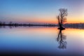 Tree in lake with color sky Royalty Free Stock Photo