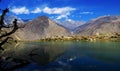 Tree on the lake in Dhumba Lake Nepal.Dhumba Lake is a emerald green color lake.