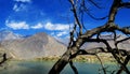 Tree on the lake in Dhumba Lake Nepal.Dhumba Lake is a emerald green color lake.